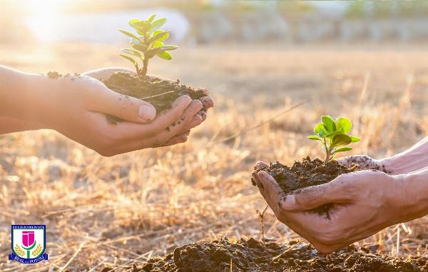 Sembrando Valores: La conexión de la naturaleza con la formación del alumno en el Colegio Real del Potosí