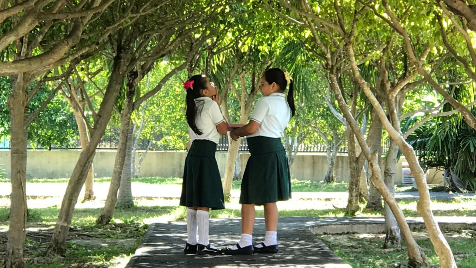 Beneficios del Contacto con la Naturaleza en la Educación, Claves para el Éxito Académico.